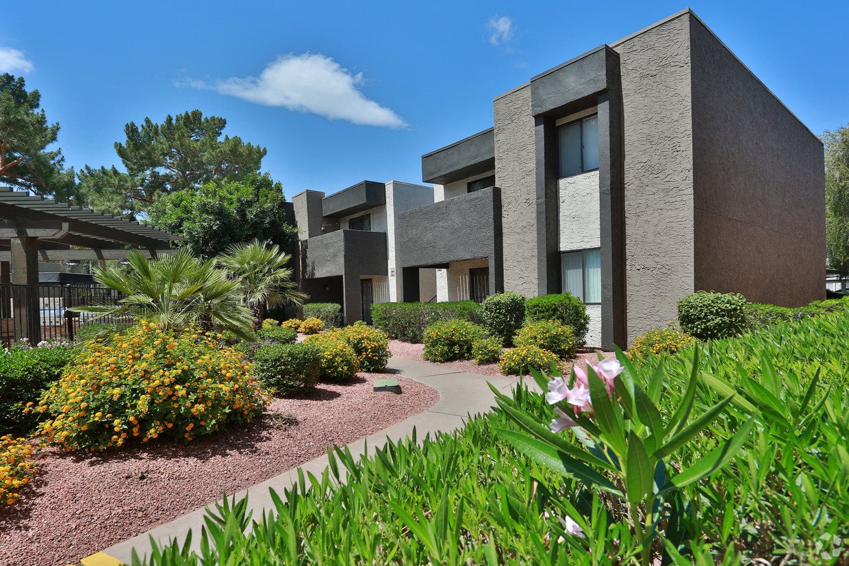 Dobson Bay Apartments Mesa Az at Carol Mcguire blog